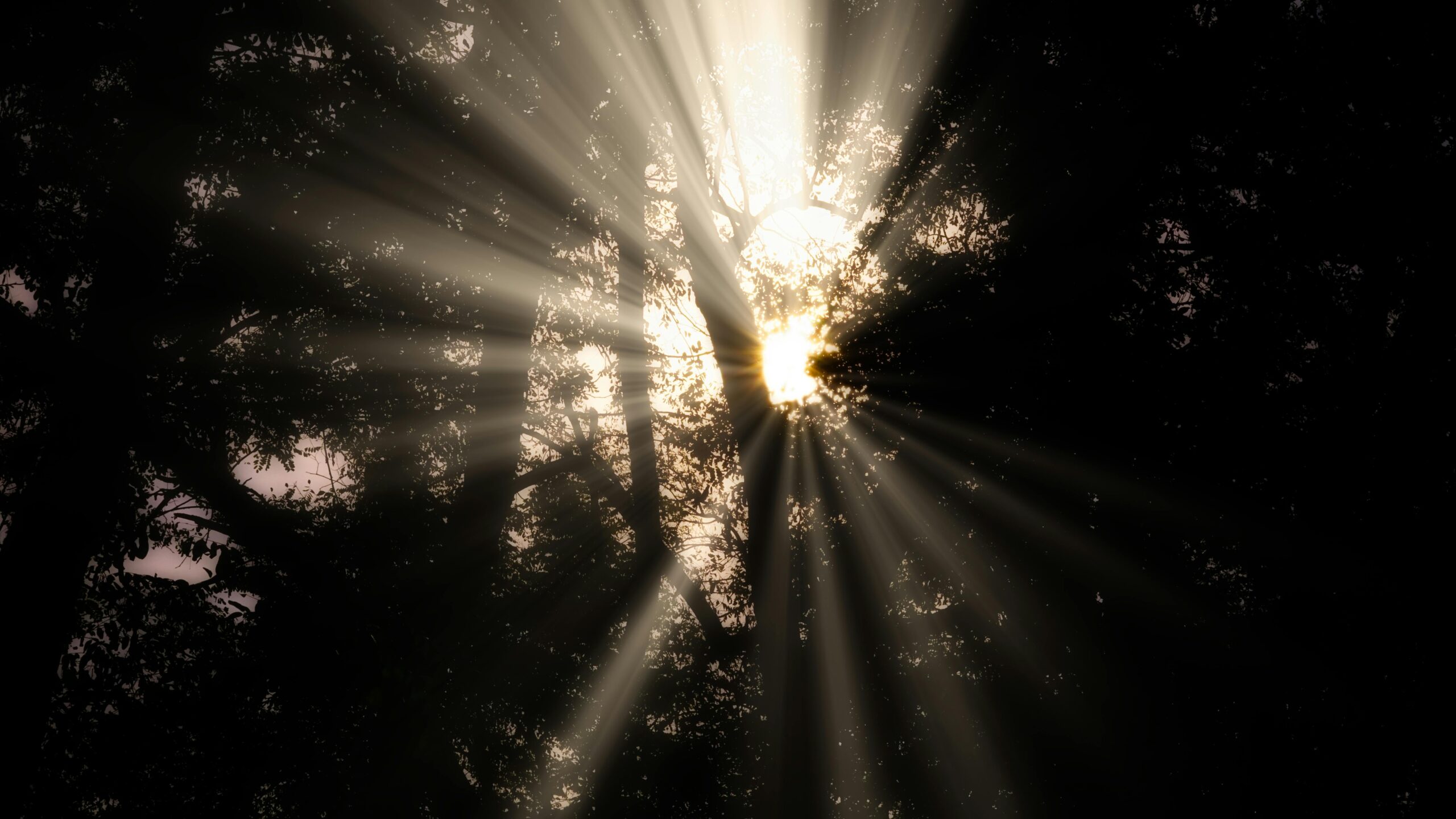 Why Stories Matter in Uncertain Times